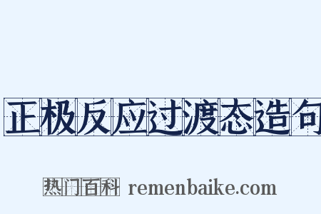 正极反应过渡态造句是什么意思的图片